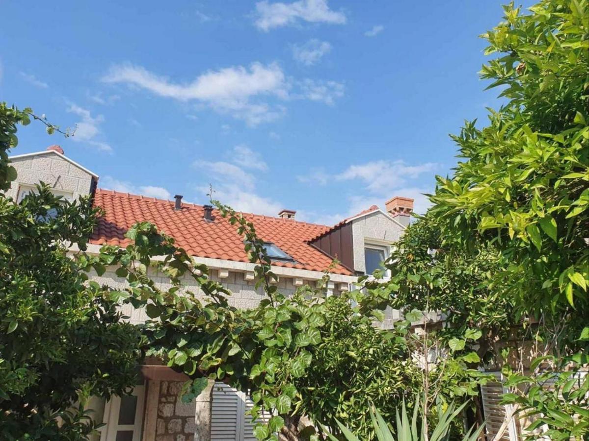 Tirena Apartment